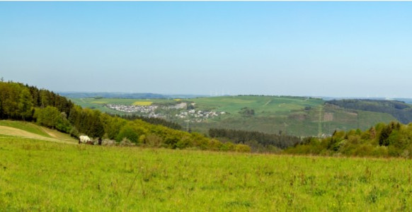 Panoramablick ins Tal der Ruwer & der Mosel